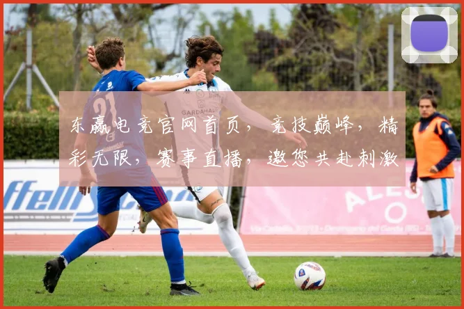 东赢电竞官网首页，竞技巅峰，精彩无限，赛事直播，邀您共赴刺激之旅，不容错过